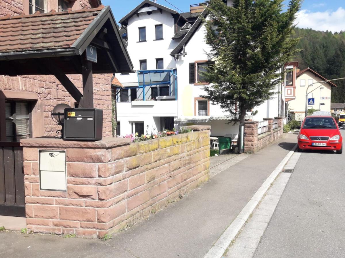 Grosse Wohnung Im Odenwald 1 Schonau  Exteriör bild